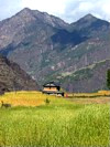 west-nepal-farm-100x133